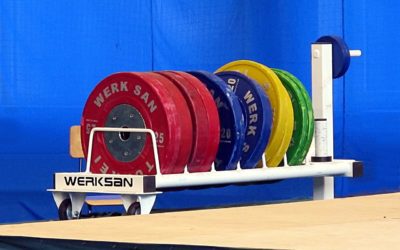 « BPJEPS AF option Haltérophilie et Musculation : Formation, compétences et débouchés